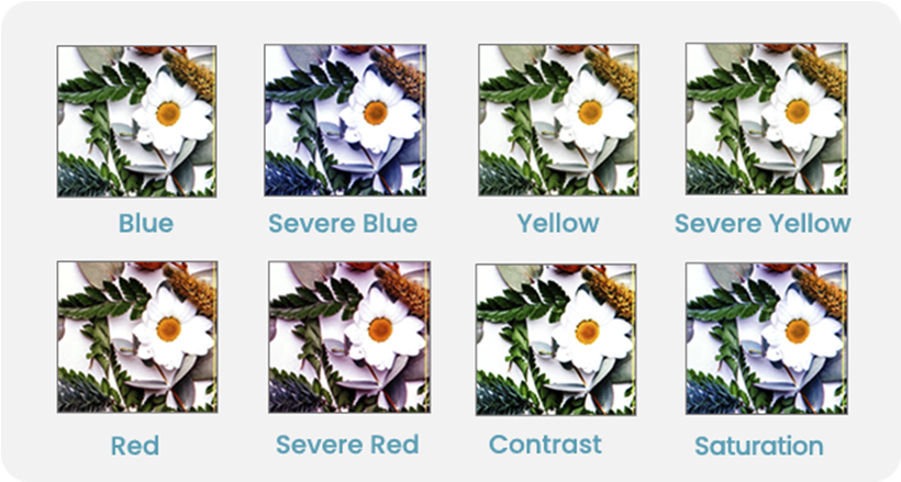 Quickly modify and fine-tune your images before exporting.